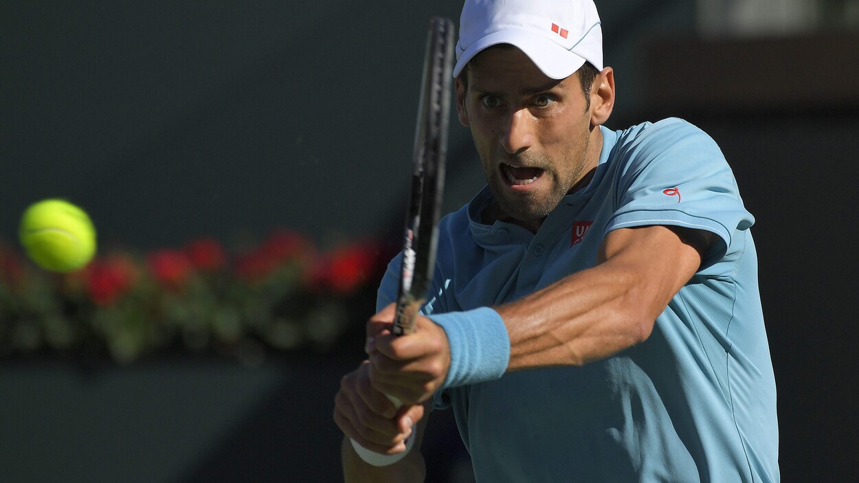 Novak Djokovic Novak Djokovic