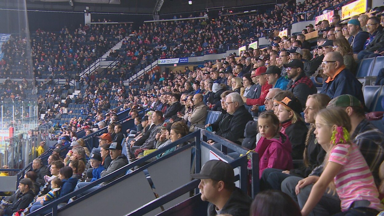 Des spectateurs attentifs qui regardent un match des Pats de Regina.