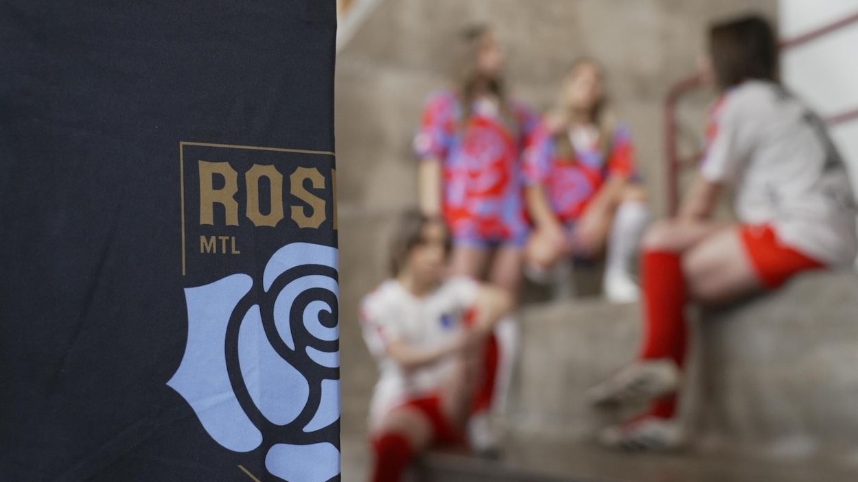 Les Roses prêtes pour un premier contact avec le public