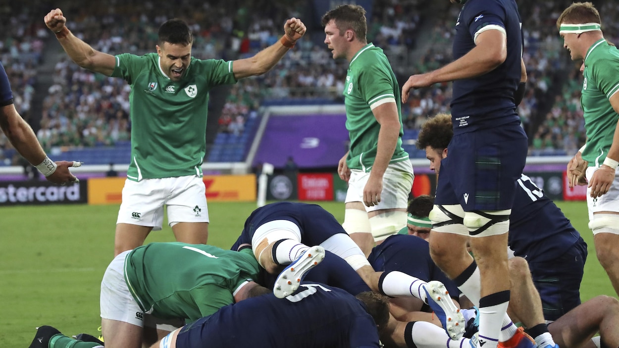 Les joueurs irlandais célèbrent un essai.