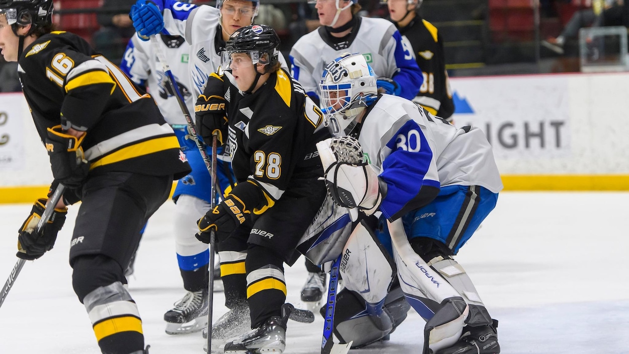Nouvelle équipe d’entraîneurs pour les Sea Dogs de Saint-Jean