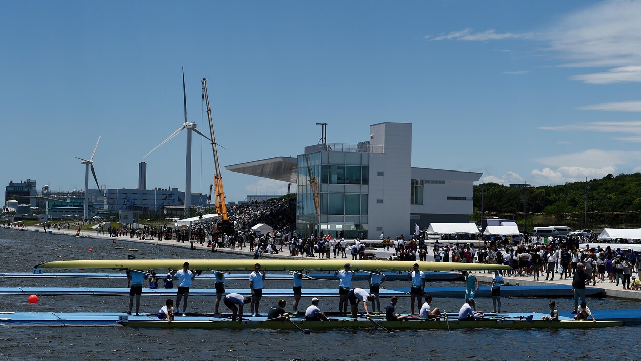 Des avironneurs s'activent dans le bassin.