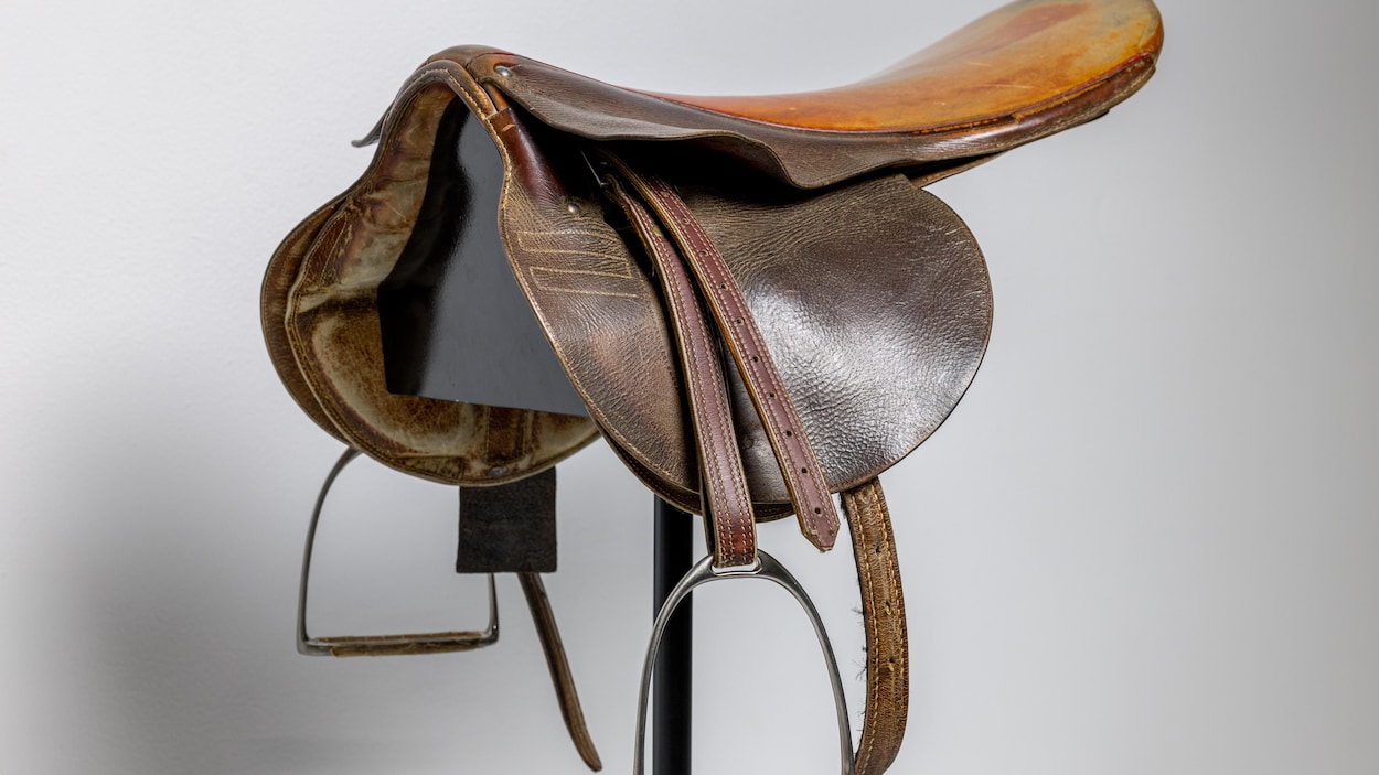 Connaissances de base sur les selles western