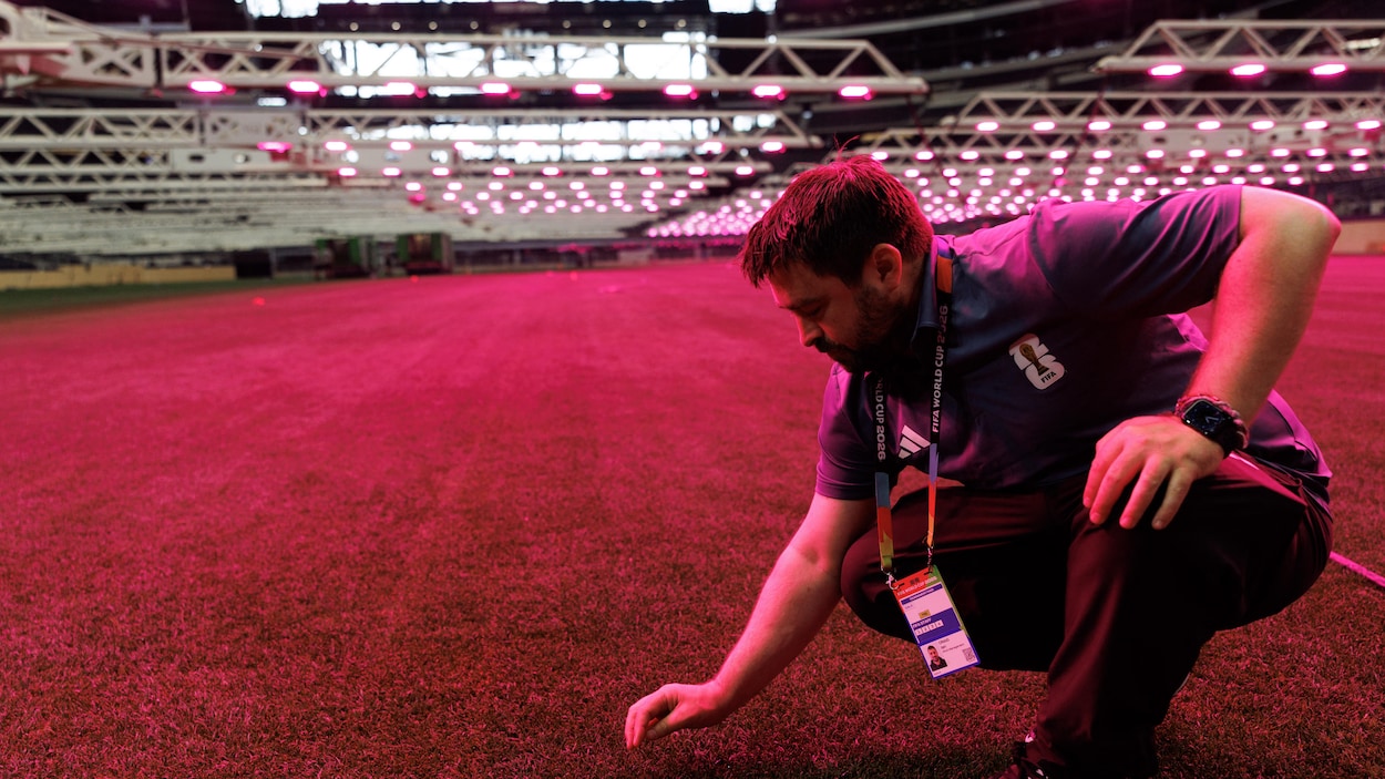 Les stades de la NFL se transforment pour la Coupe du monde