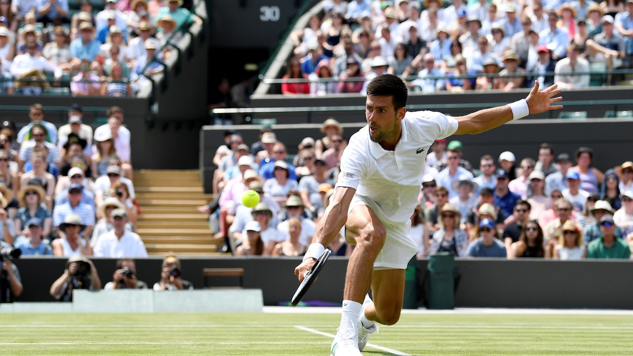 Novak Djokovic a mis un terme à sa saison 2017 en raison d'une blessure au coude. Novak Djokovic a mis un terme à sa saison 2017 en raison d'une blessure au coude.
