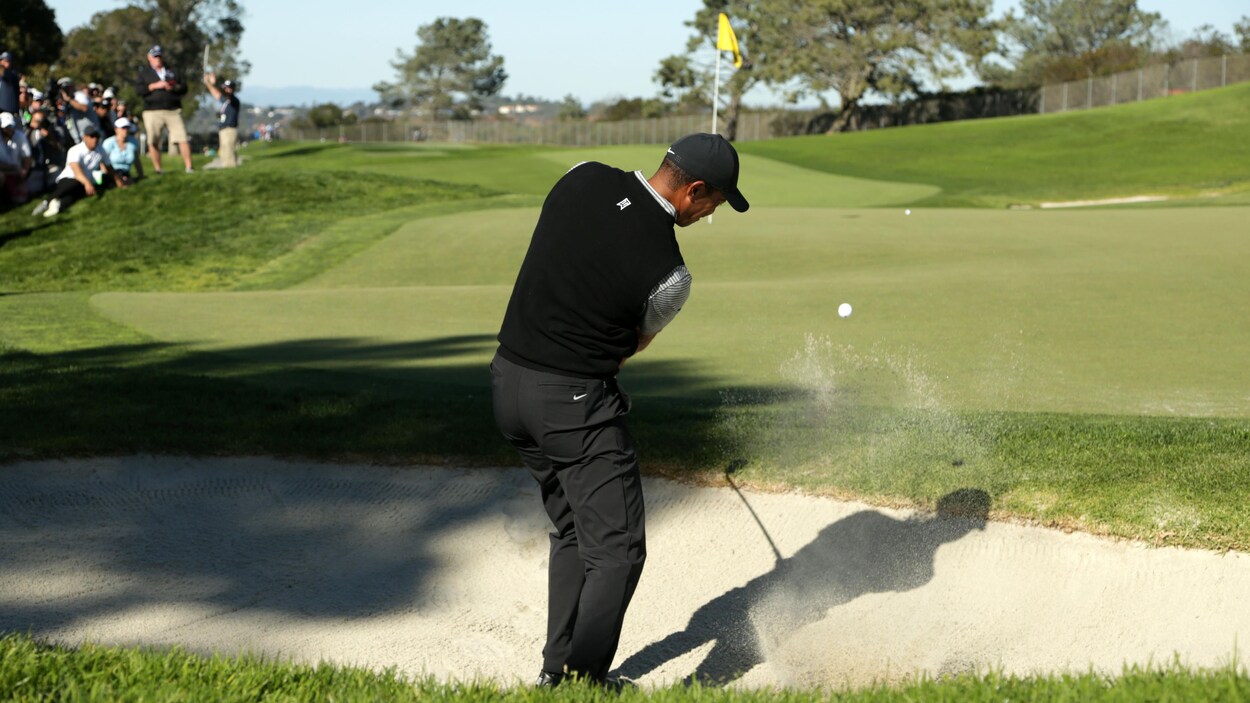 Tiger Woods