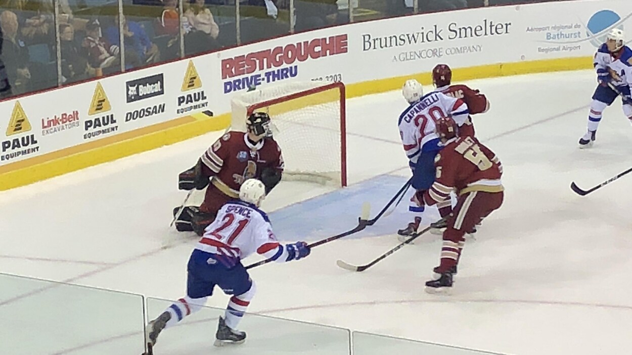 Les joueurs des Wildcats font une montée au filet.