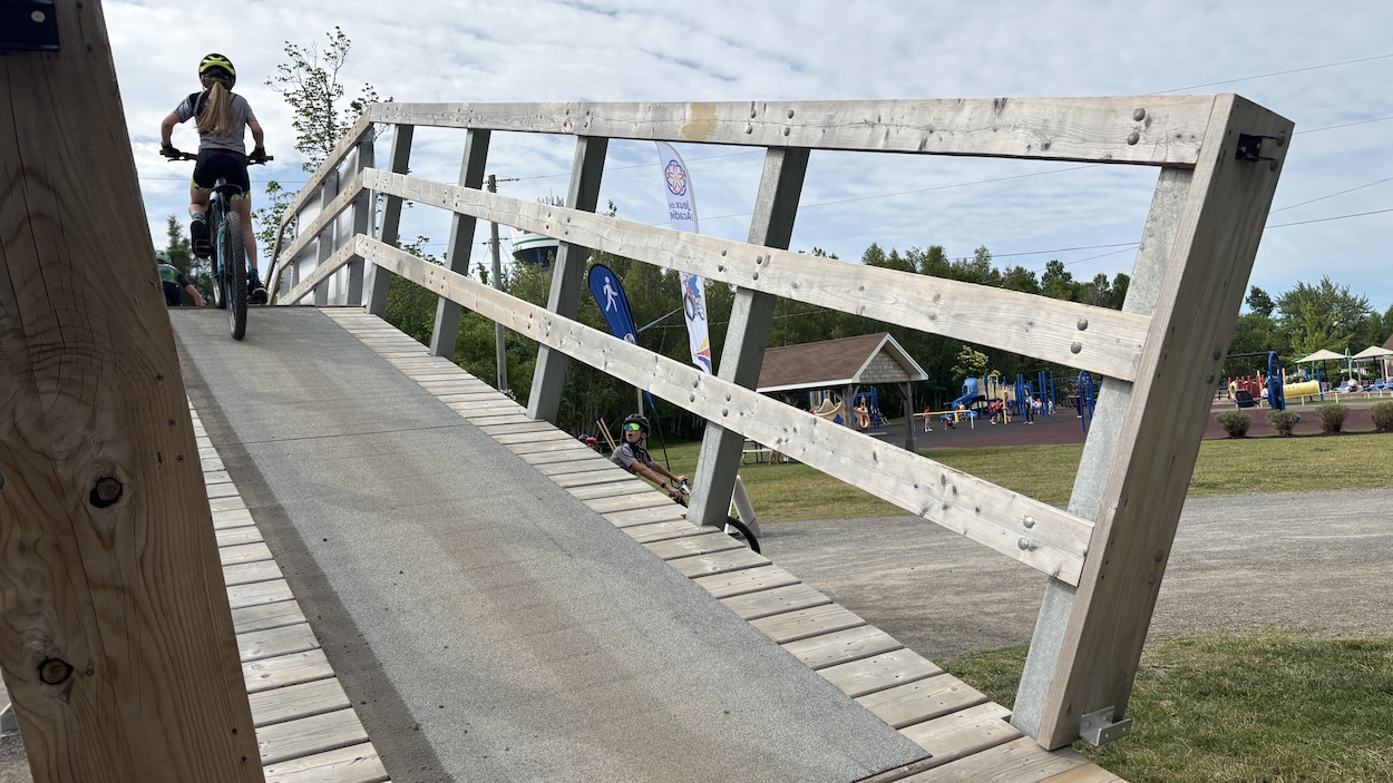 Rapport sur l’avenir des sports : une occasion à saisir pour les provinces de l’Atlantique