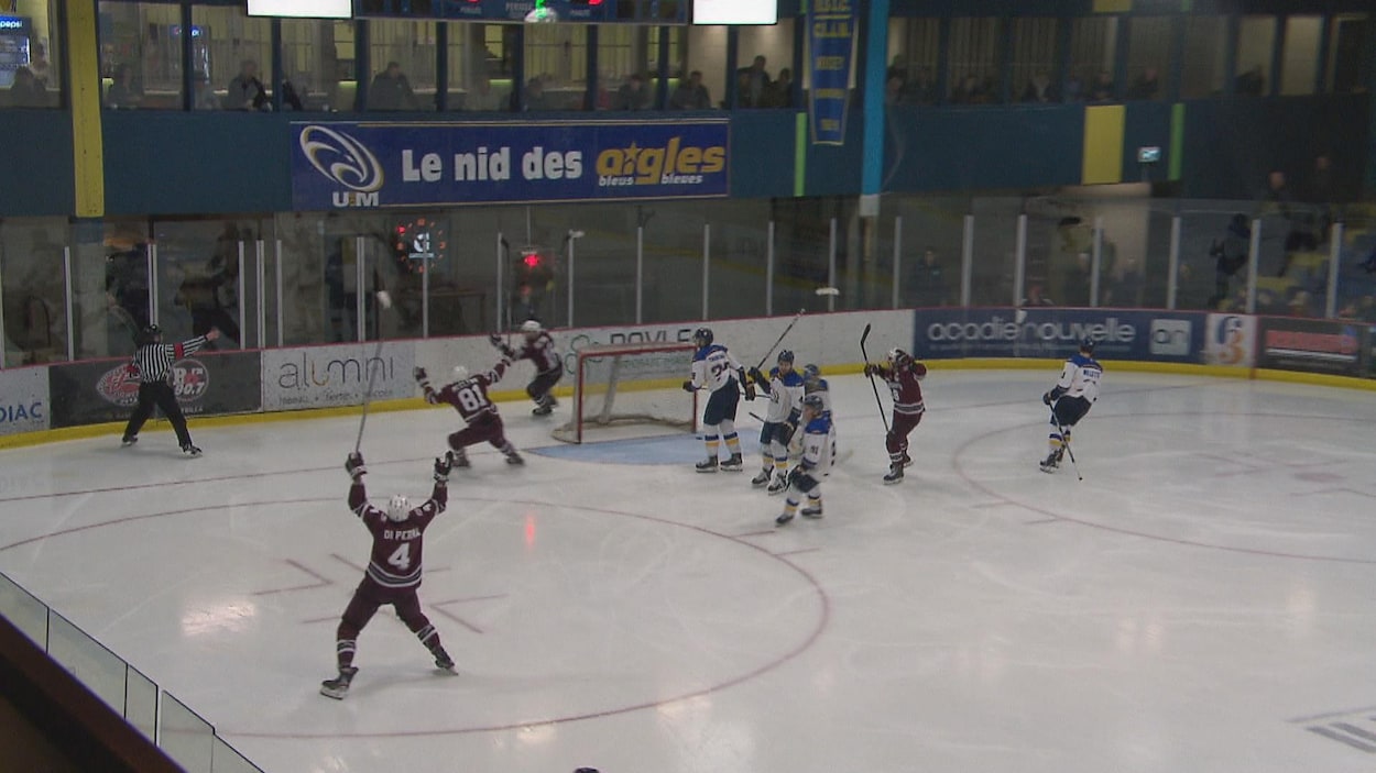 Quatre joueurs ont les bras en l'air, sur la patinoire. Ils viennent de marquer un but