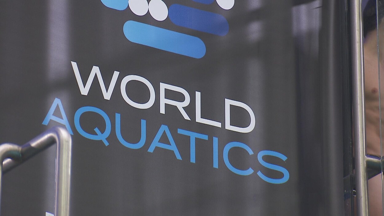 La prochaine Coupe du monde de natation aura une catégorie transgenre