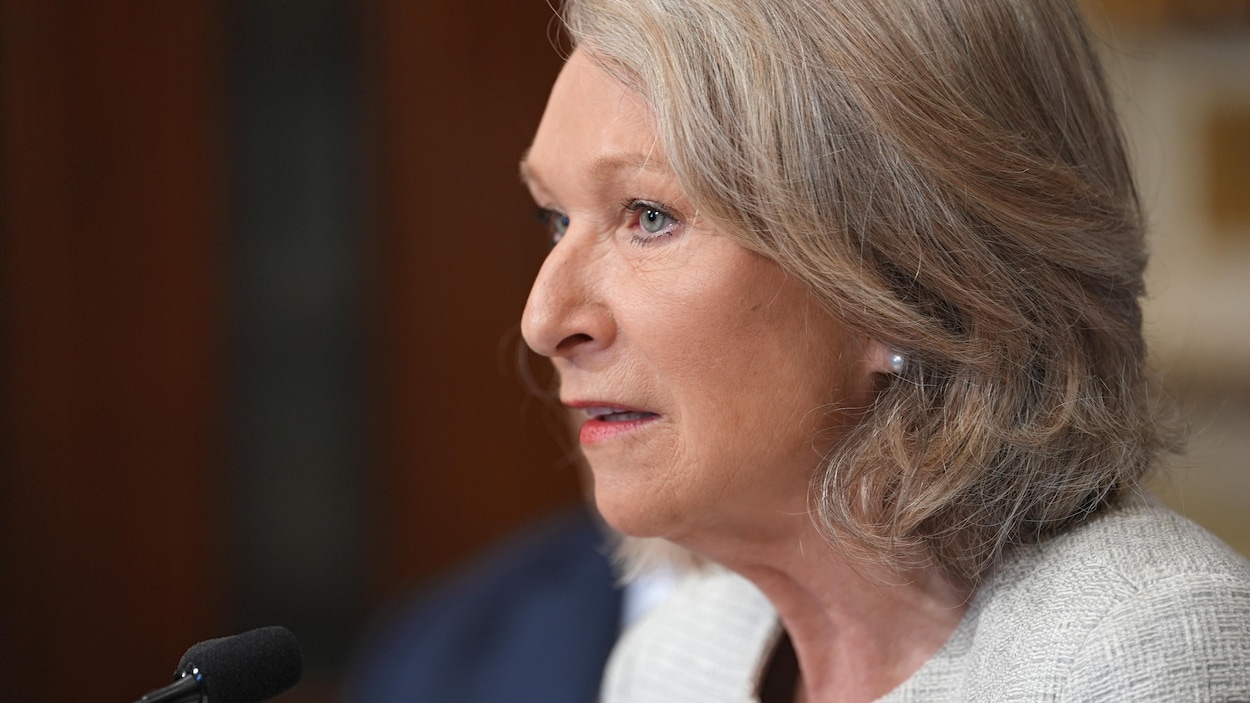 La ministre de la Santé veut laisser Santé Québec « décider du DSN »