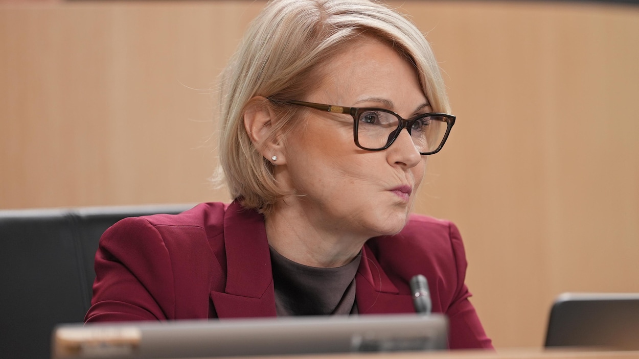 La PDG de Santé Québec rappelée à l’ordre pour manque d’impartialité