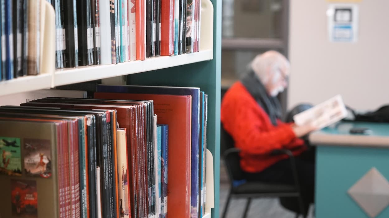 Livres piratés utilisés par l’IA : peu d’auteurs canadiens seront indemnisés par Anthropic