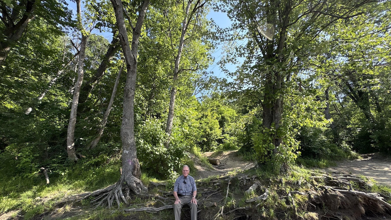 Veiller sur le Boisé des Estacades : la mission de Marcel Pelchat