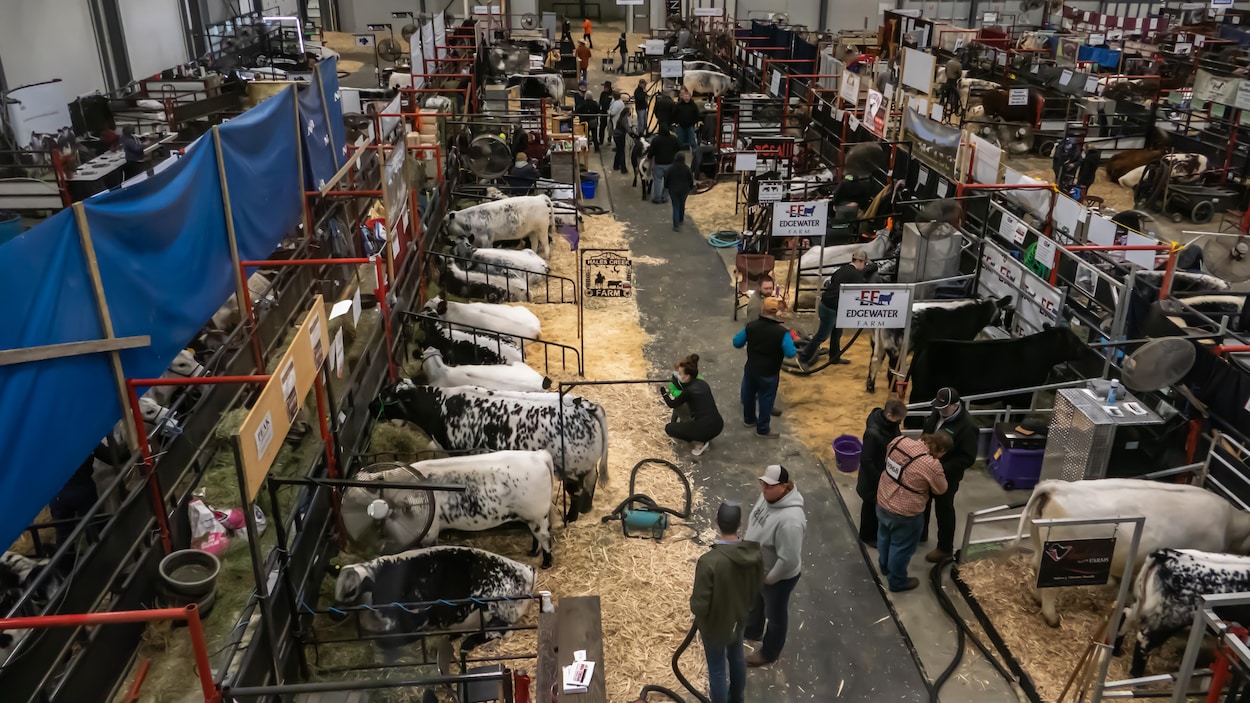 Brandt construira un nouveau bâtiment pour la prochaine édition d’Agribition