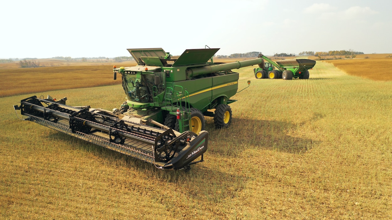 Les agriculteurs des Prairies, pris en tenailles entre sécheresse et ...