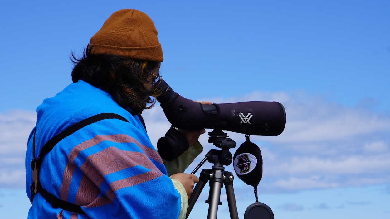 Un défi inclusif de 24 heures pour répertorier 80 espèces d’oiseaux