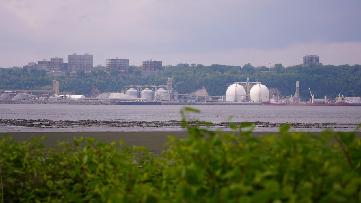 Troisième lien : un pont-tunnel entre Québec et Lévis