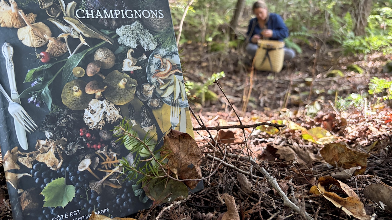 Le Mois du champignon bat son plein au Kamouraska