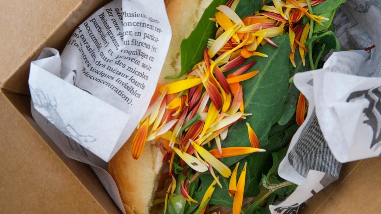 Un hot-dog couvert de pétales de souci.