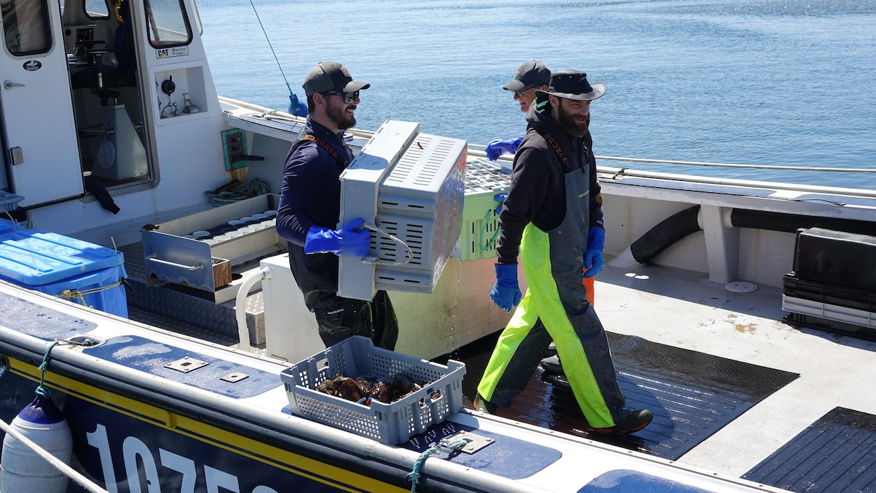 Fin satisfaisante de la 150e saison de pêche au homard aux îles