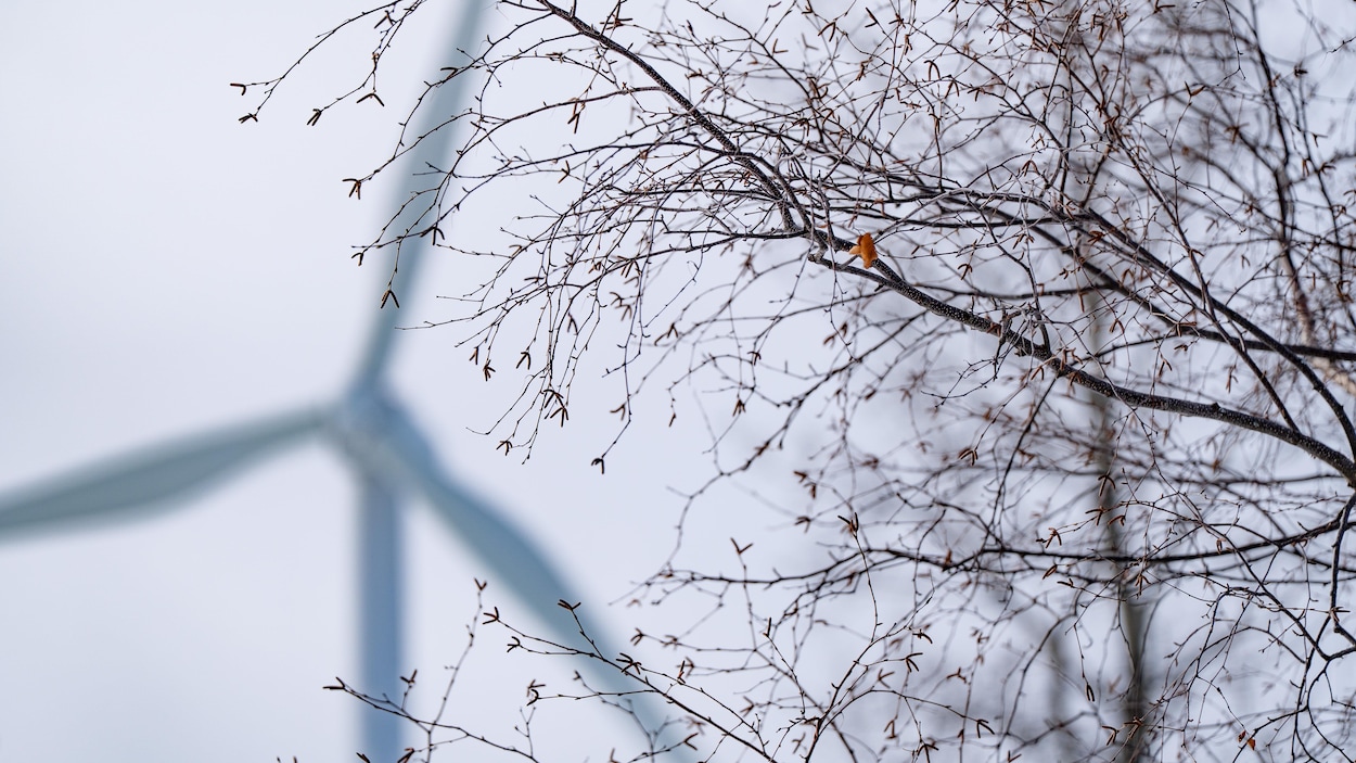 Rencontres citoyennes pour le projet éolien Nutinamu-Chauvin