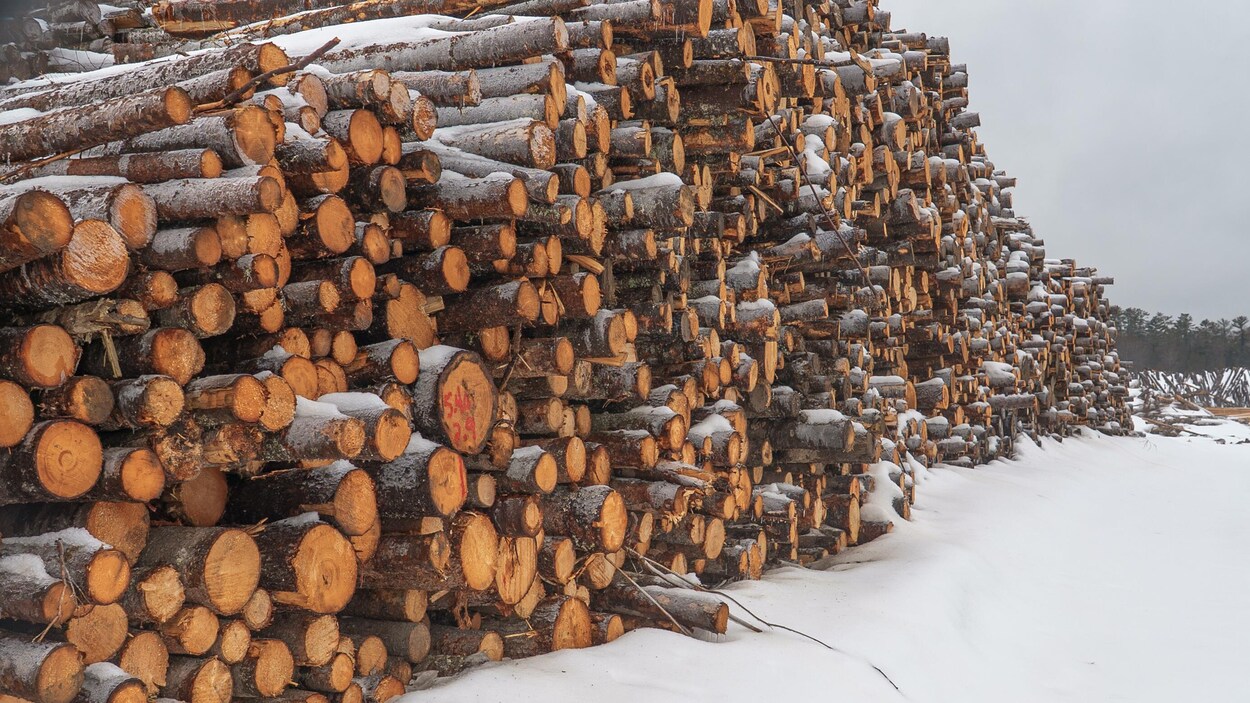 Les usines de Rémabec de la Haute-Mauricie pas encore prêtes à réouvrir