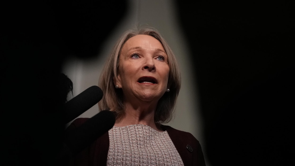 Hospitalisation forcée : Québec veut assouplir les critères d’un état mental dangereux