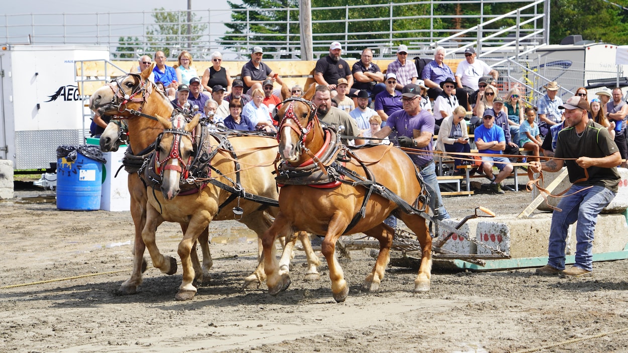Saint-Gabriel-de-Rimouski en mode country jusqu’à dimanche