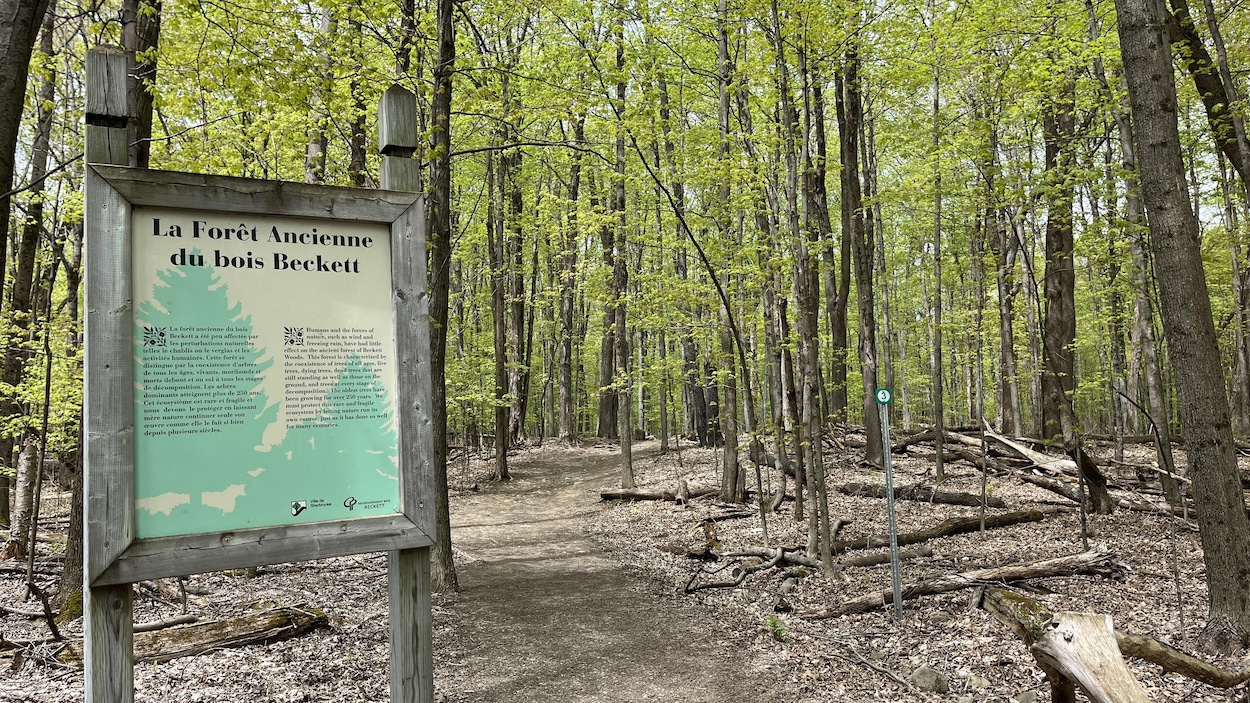 Des sentiers plus inclusifs à Sherbrooke