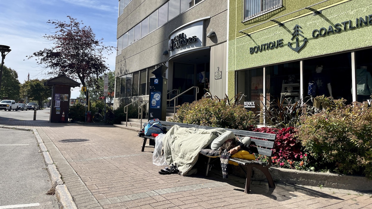 Aide d’urgence en itinérance : Québec débloque 28 millions $ supplémentaires