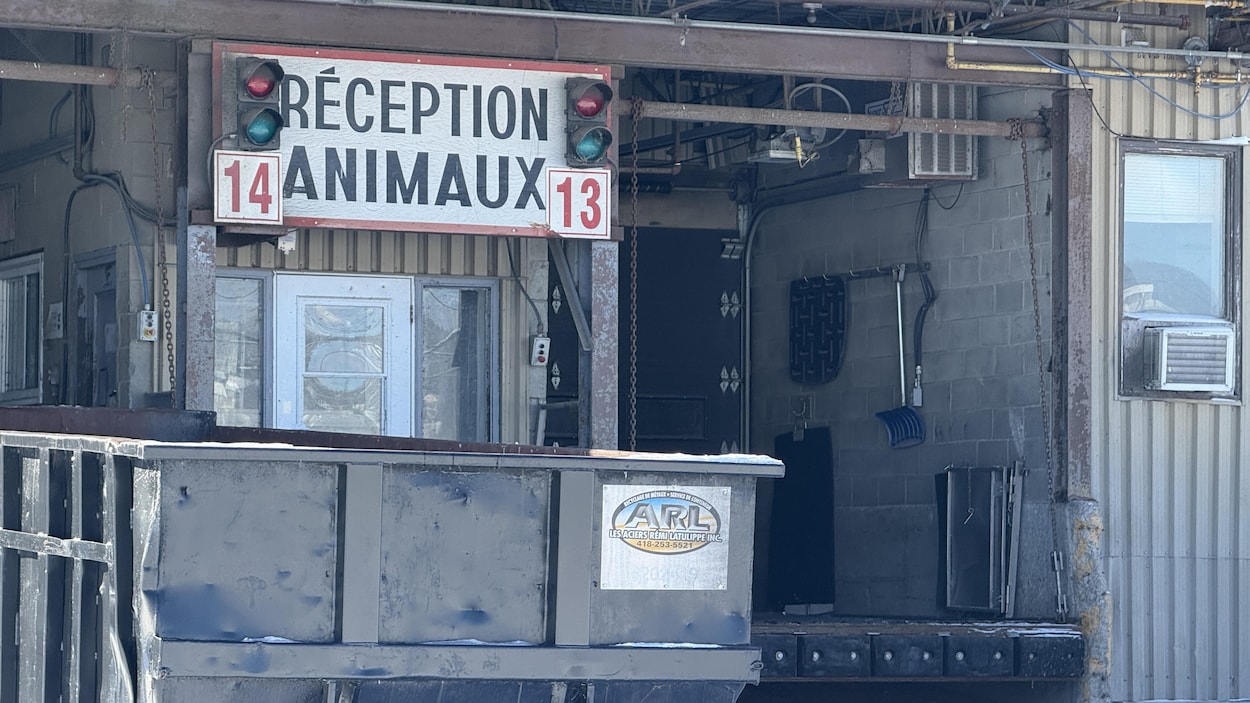 « On a le droit de rêver » : la nouvelle vocation de l’usine d’Olymel saluée en Beauce