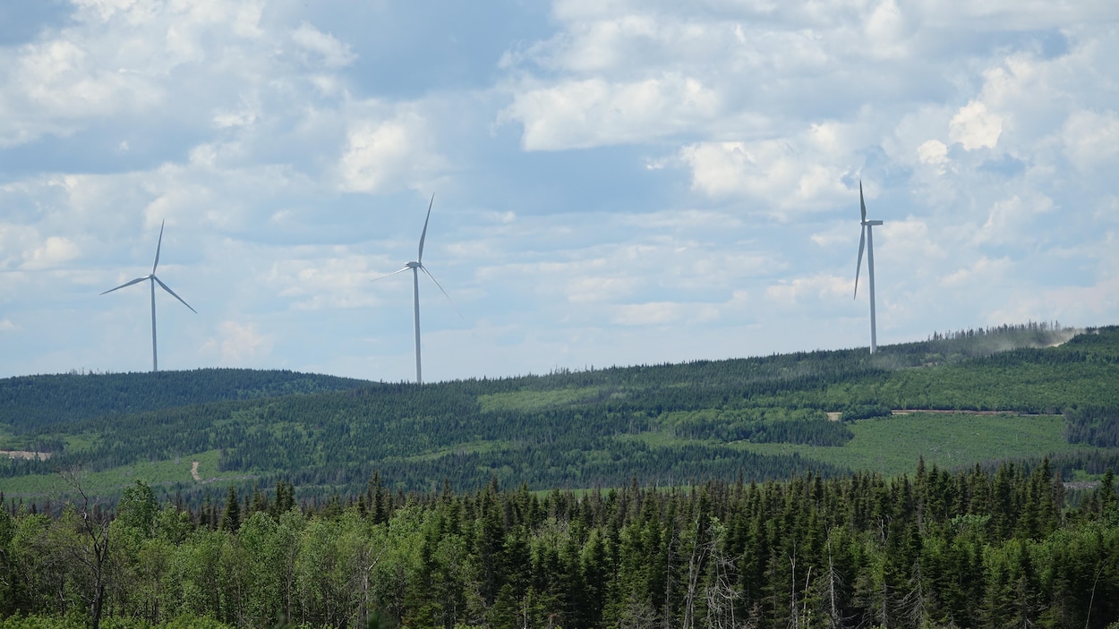 Un parc éolien en construction dans l’arrière-pays d'Escuminac