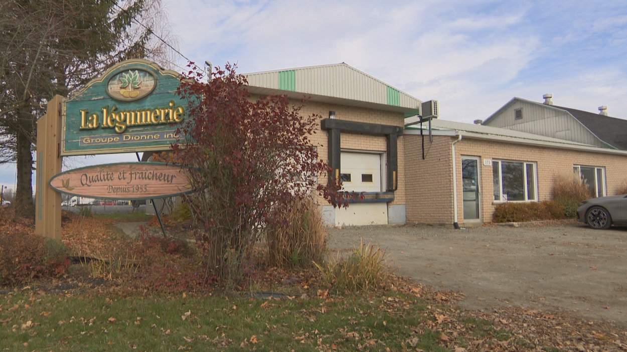 La Légumerie Dionne de Cookshire-Eaton voit grand