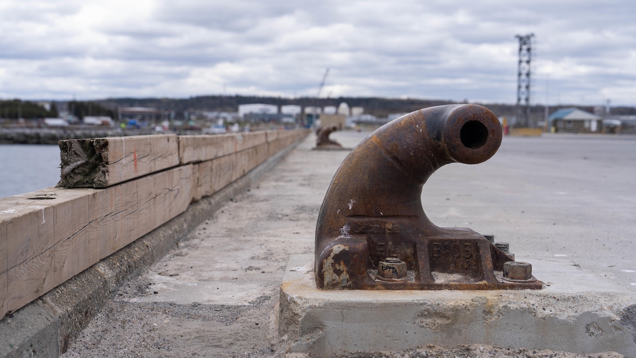 Élus et gens d’affaires s’unissent pour le port de Matane