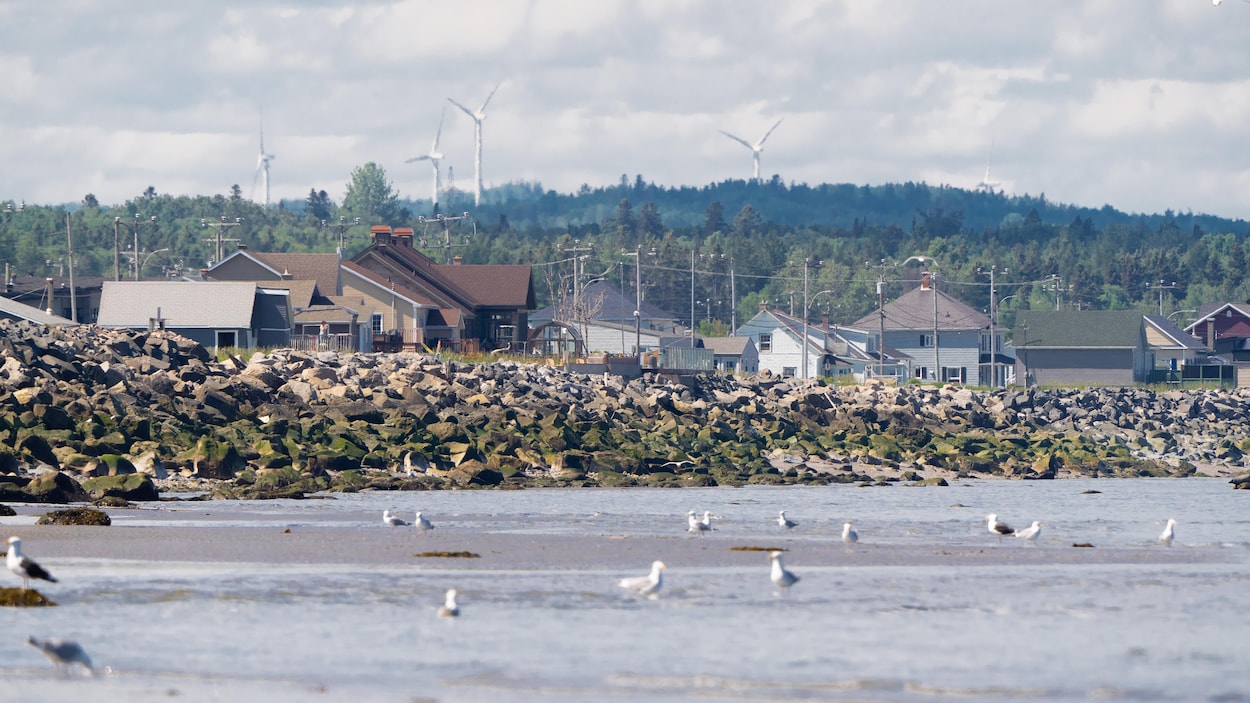 Les résidents de Matane-sur-Mer face à un mur