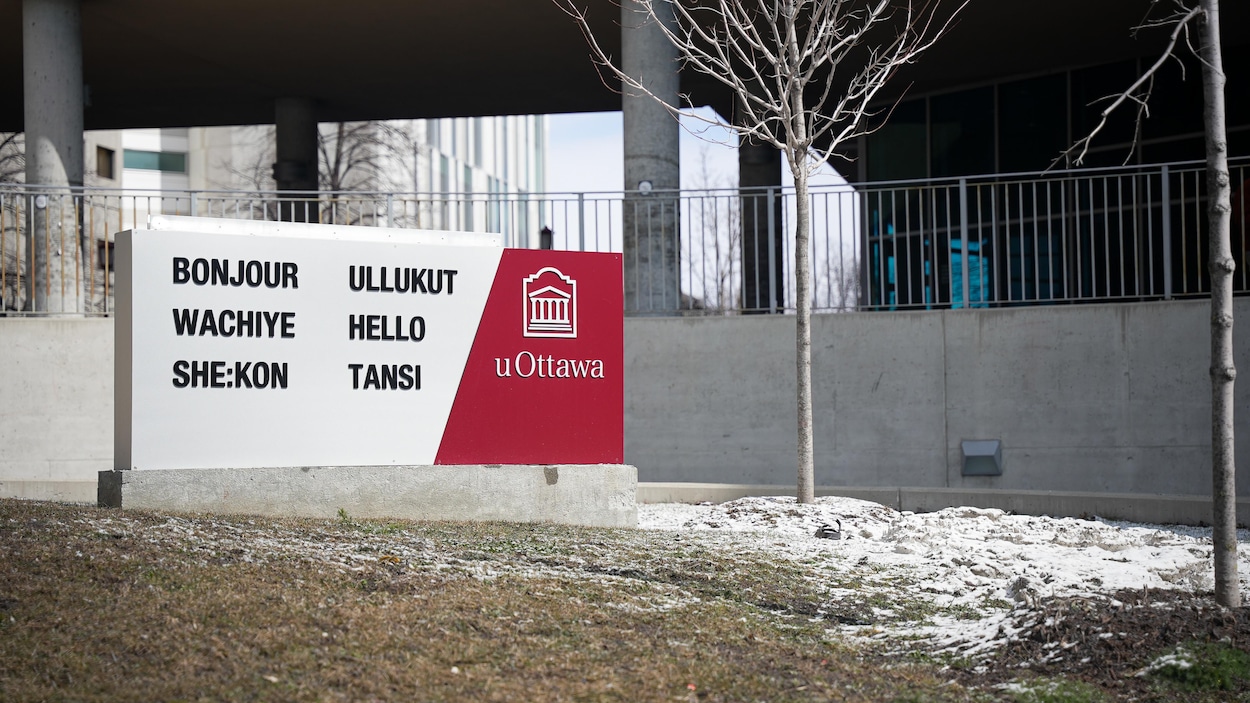 Allégations de racisme et de mauvaises conditions de travail à l’Université d’Ottawa