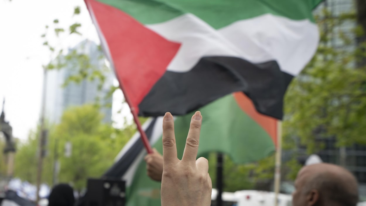 Filistin Devletinin Tanınması: Bu Tam Olarak Ne Anlama Geliyor?  |  Orta Doğu, sonsuz çatışma