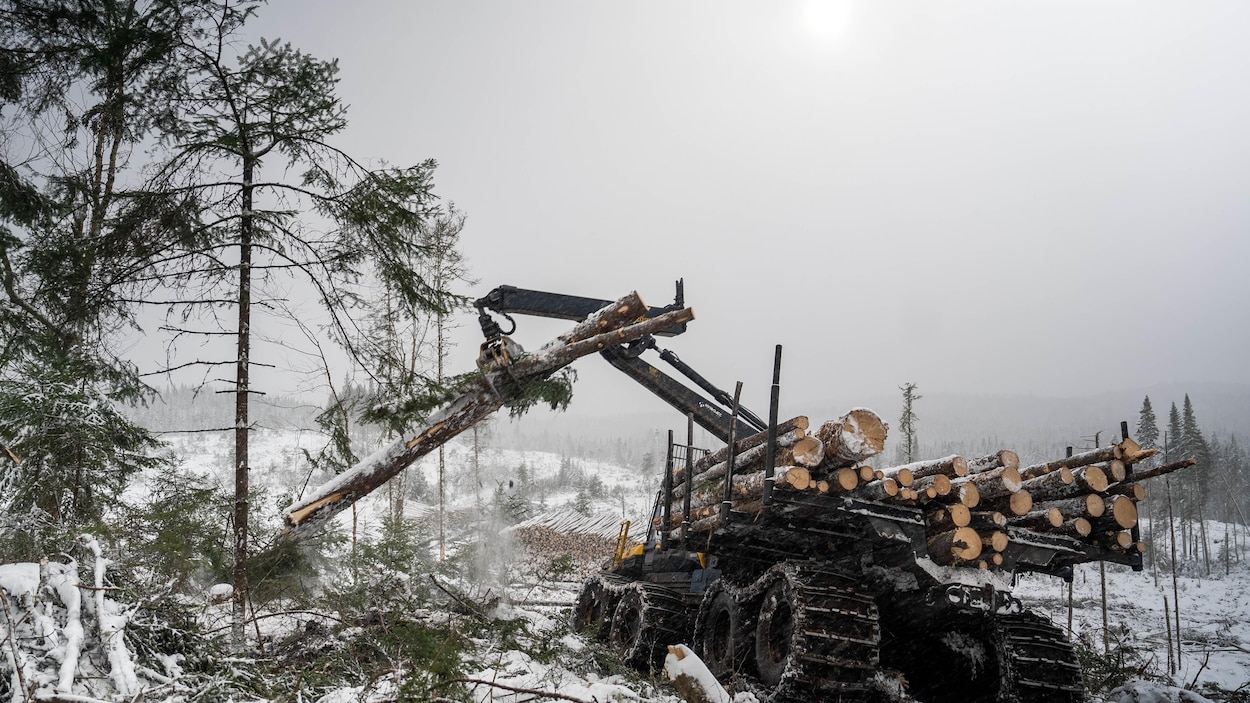 « Mini-réforme » du régime forestier : une lueur d’espoir pour l’industrie?