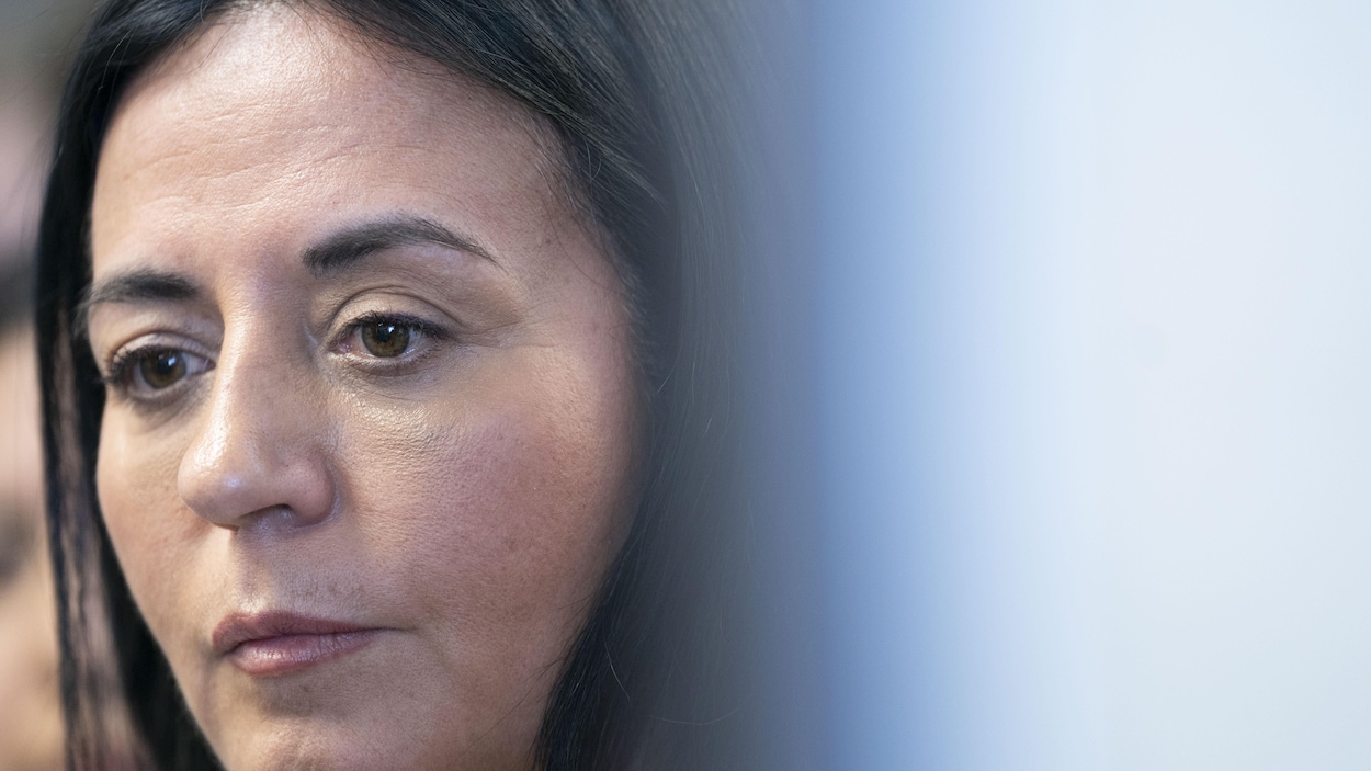SPVM : le conjoint de Martinez Ferrada interpellé à répétition « juste pour vérifier »