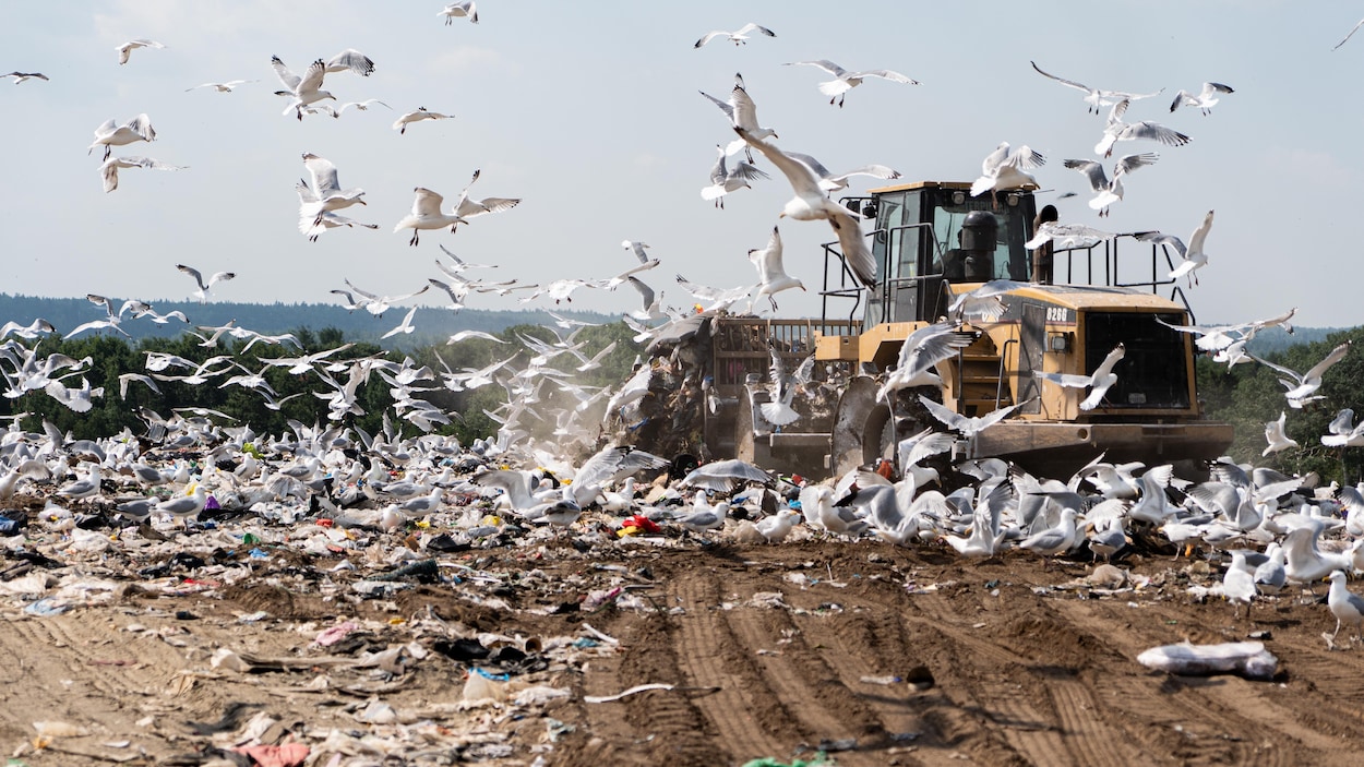 Déchets : quand le manque de tri coûte cher