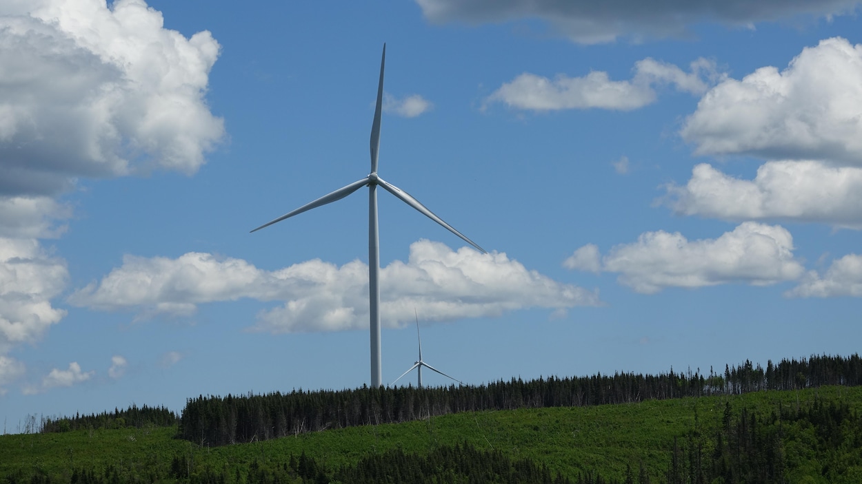 La MRC de Mékinac tente à nouveau de réduire le nombre d’éoliennes