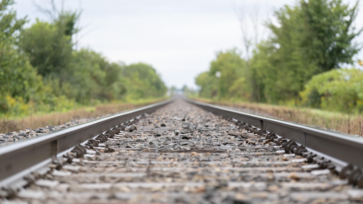 Climat Québec propose un train de passagers entre Matane et Québec