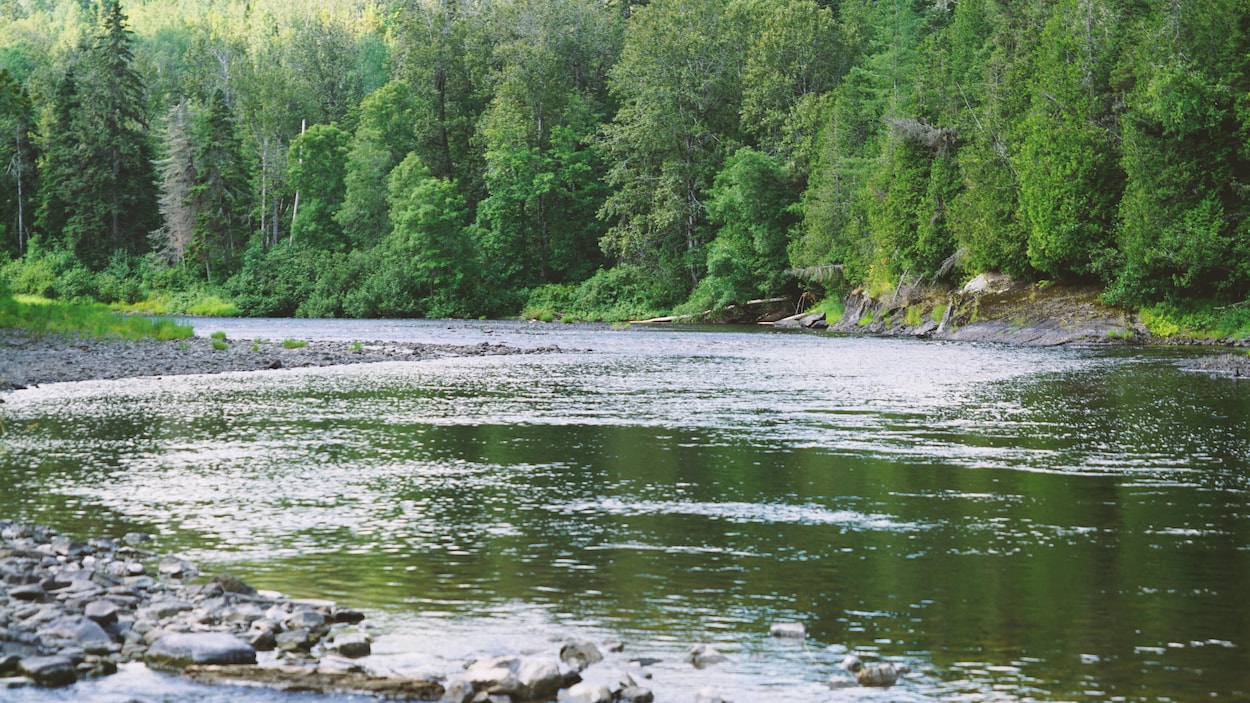 Il y aura échantillonnage des rivières au Bas-Saint-Laurent