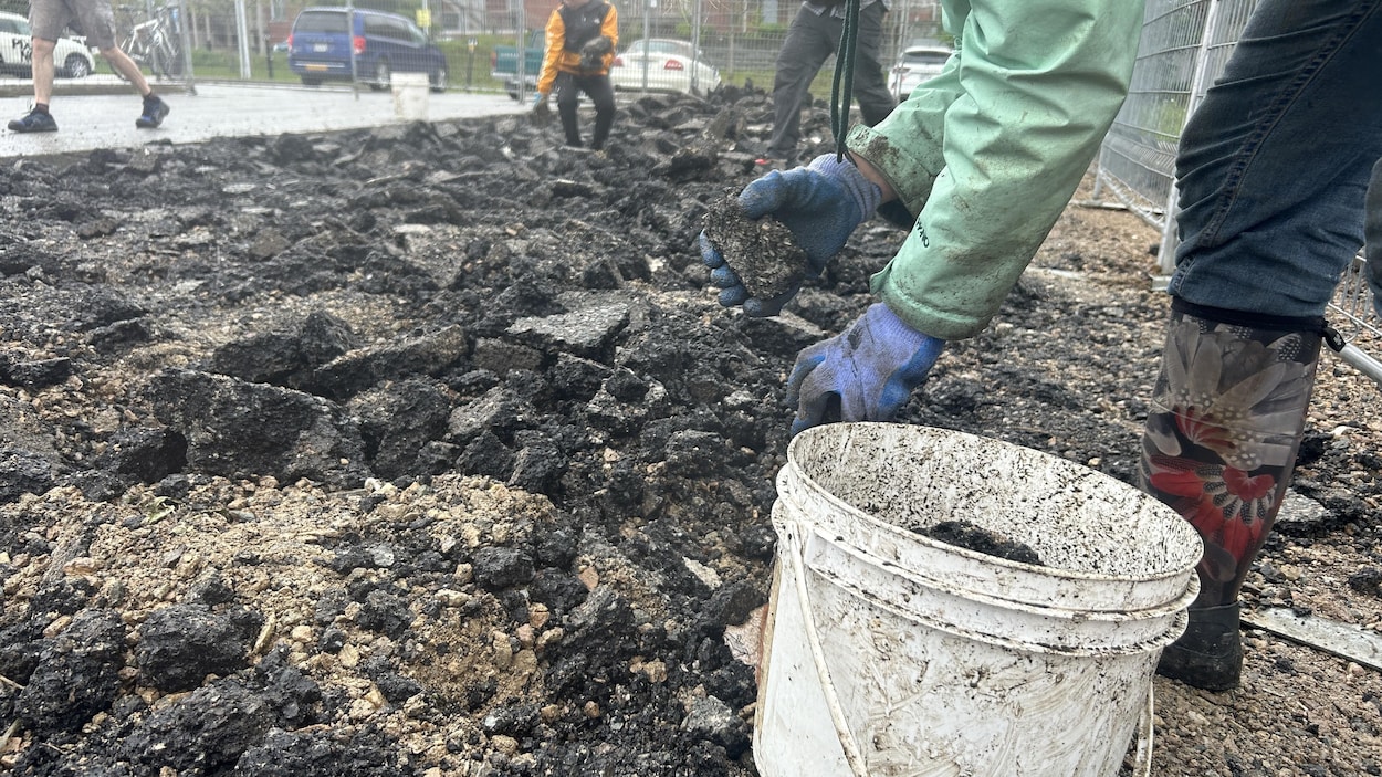 Verdir le Vieux-Noranda grâce au projet Sous les pavés
