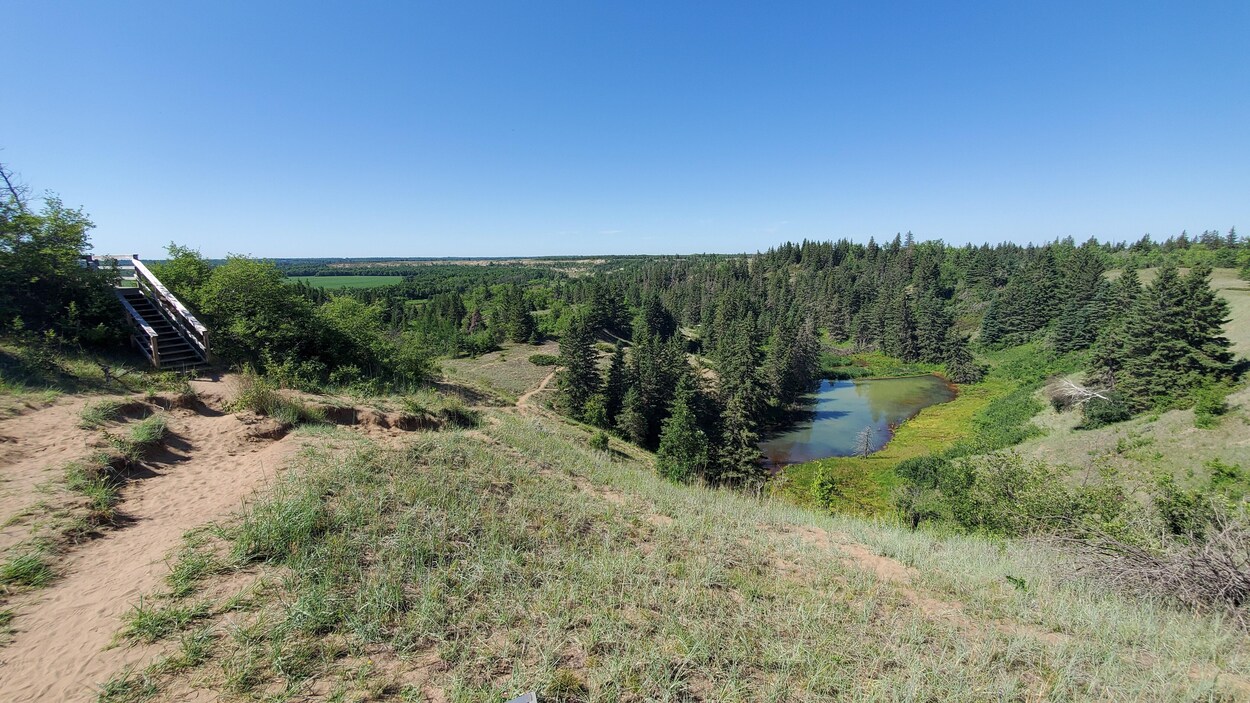 Un paysage vallonné avec un lac en arrière-plan.