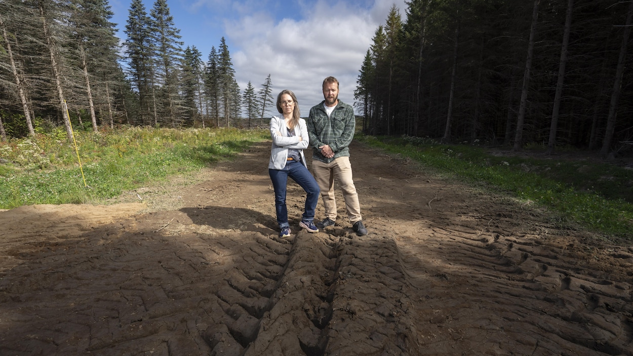 À la recherche du Québec : oui ou non aux éoliennes en Mauricie?