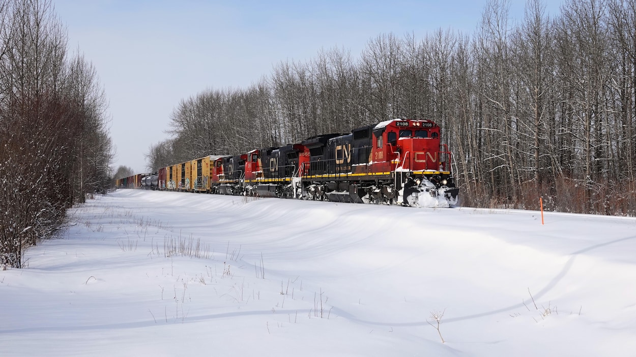 Un train du CN passe dans la municipalité de High Prairie au nord de l'Alberta en hiver.