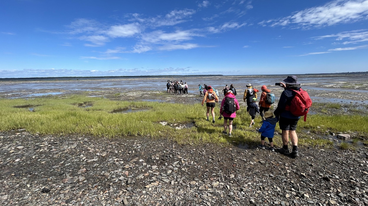 La traversée vers l'île Saint-Barnabé à pied, une tradition du 18e siècle