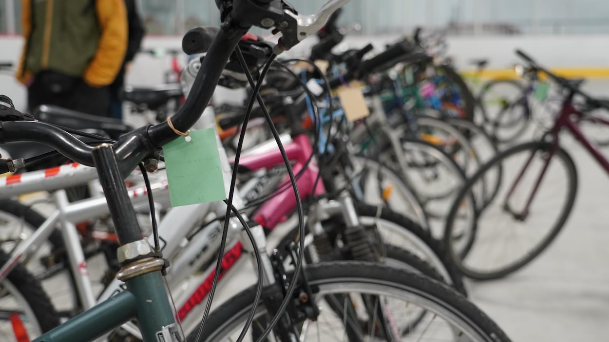 Un Vélo Bazar qui regorge de trésors à Rimouski